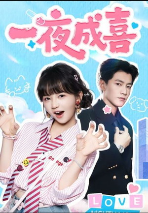 一夜成喜(60集) 一夜成喜(60集)短剧结局合集限免刷