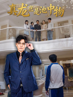 真龙岂是池中物（80集）短剧大结局连更全集
