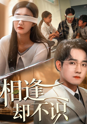 相逢却不识(77集) 相逢却不识(77集)短剧限免全集任你点