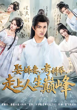 娶娇妻，考科举，走上人生巅峰（80集）短剧全集投屏大屏看