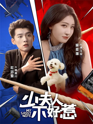 少夫人不好惹（61集）短剧合集4K修复版