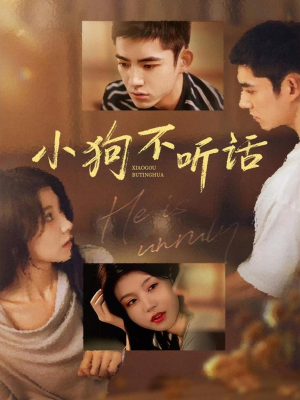 小狗不听话（70集）短剧限免全集任你点