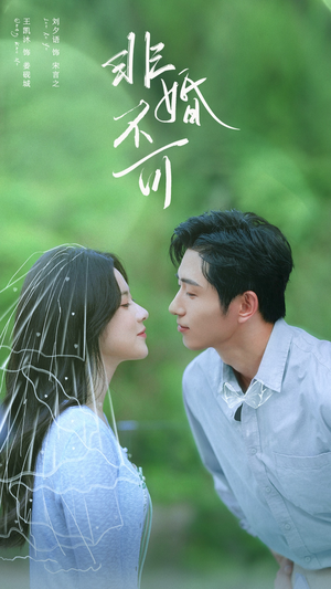 非婚不可（65集）短剧全集解锁零收费