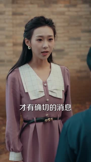 向阳年代（81集）短剧全集解锁零收费