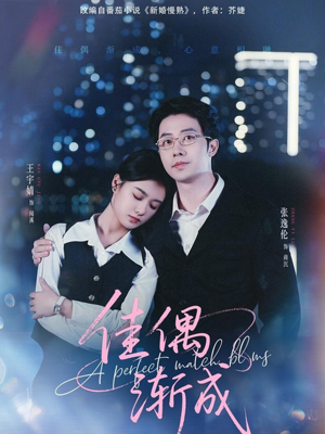 佳偶渐成（71集）短剧全集VR沉浸版