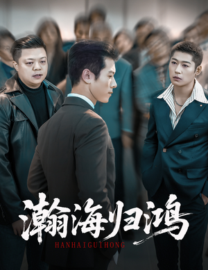 瀚海归鸿（74集）短剧全集投屏大屏看