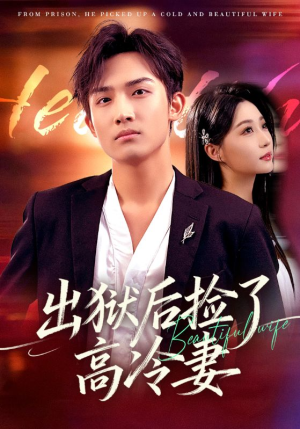 出狱后捡了高冷妻(71集) 出狱后捡了高冷妻(71集)短剧全系列免费畅享