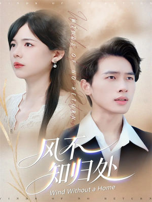 风不知归处（78集）短剧合集4K修复版