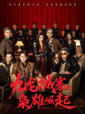 九龙局中局(71集) 九龙局中局(71集)短剧最终回限免畅看