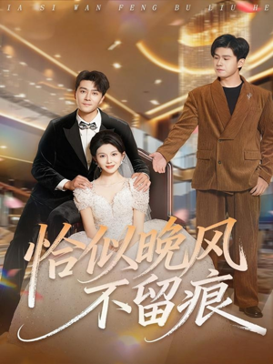 恰似晚风不留痕(61集) 恰似晚风不留痕(61集)短剧完结篇全集连播