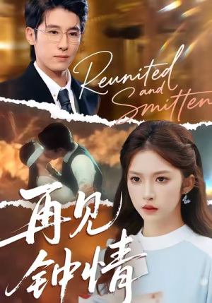 再见钟情（100集）短剧全集投屏大屏看