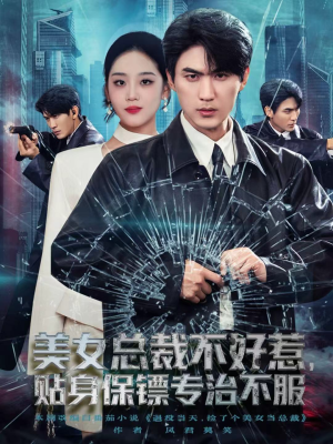 美女总裁不好惹，贴身保镖专治不服（84集）短剧超清全集在线看