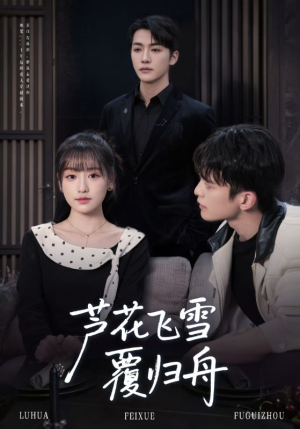 芦花飞雪覆归舟（77集）短剧全集热力排行榜之一