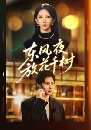 ＆燕西误尽瑶台月（91集）短剧合集4K修复版