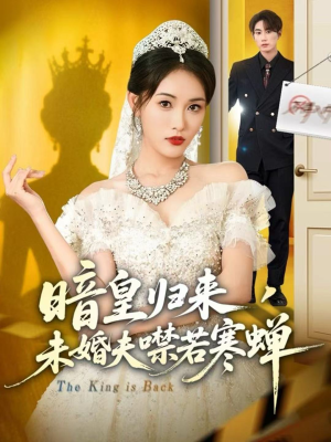 暗皇归来，未婚夫噤若寒蝉（65集）短剧合集4K修复版