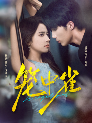 笼中雀（65集）短剧热映全集免费刷