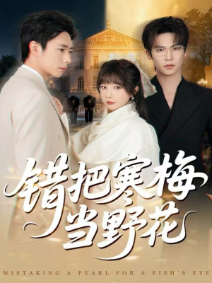 错把寒梅当野花(60集) 错把寒梅当野花(60集)短剧完结篇全集连播