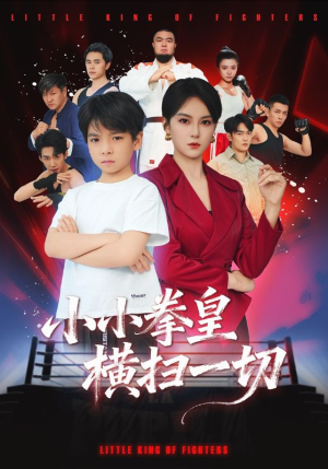 小小拳皇横扫一切（60集）短剧全集高清完整版