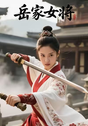 岳家女将(20集) 岳家女将(20集)短剧合集导演剪辑版