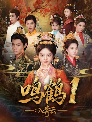 入青云（65集）短剧精选全集无广告