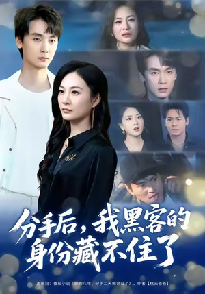 分手后,我黑客的身份藏不住了(80集) 分手后,我黑客的身份藏不住了(80集)短剧爆款全集在线播