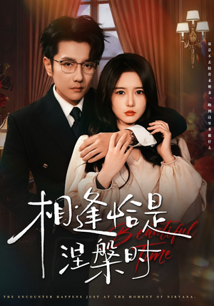 相逢恰是涅槃时（63集）短剧大结局超前点映