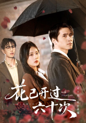 情敌交手她选择躺赢（72集）短剧全集秒播无卡顿