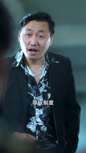 锦鲤神探，大案自动撞上来（80集）短剧终章免费大放送