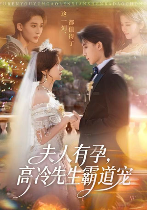 夫人有孕，高冷先生霸道宠（60集）短剧合集蓝光画质