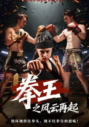 拳王之风云再起（50集）短剧大结局全集特惠