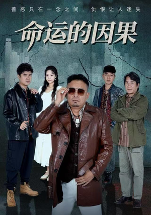 命运的因果(60集) 命运的因果(60集)短剧结局篇全集直通