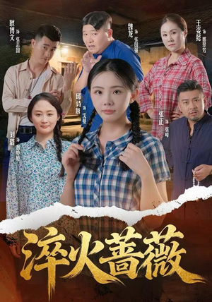 淬火蔷薇（50集）短剧大结局连更全集