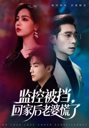 监控被挡，回家后老婆慌了（60集）短剧全系列免费畅享