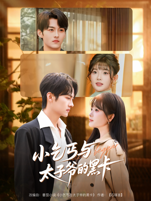 小乞丐与太子爷的黑卡(60集) 小乞丐与太子爷的黑卡(60集)短剧全集热力排行榜之一