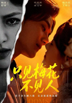 只见梅花不见人(63集) 只见梅花不见人(63集)短剧大结局超前点映