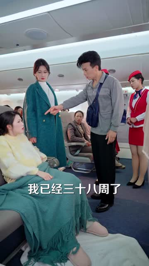 航班上的产妇危机(60集) 航班上的产妇危机(60集)短剧全集秒播无卡顿