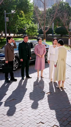 两头婚(60集) 两头婚(60集)短剧大结局全集特惠