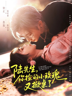 陆先生,你捡的小玫瑰又掀桌了(74集) 陆先生,你捡的小玫瑰又掀桌了(74集)短剧全集热力排行榜之一