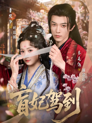 盲妃驾到（65集）短剧大结局连更全集