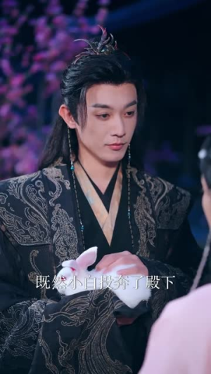 盲妃驾到（65集）短剧全集幕后花絮版