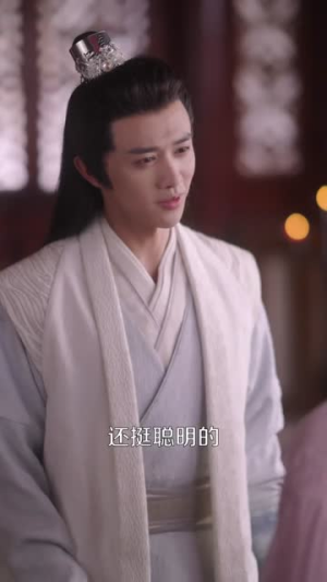 念君（60集）短剧全集高清完整版