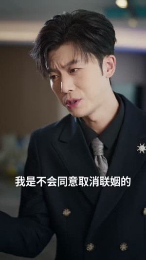 热带港岛（60集）短剧热播全集免费追