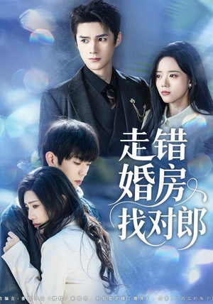 走错婚房找对郎（50集） 短剧限免全集任你点