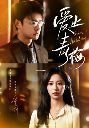 爱止青梅（60集） 短剧全集连看不停歇