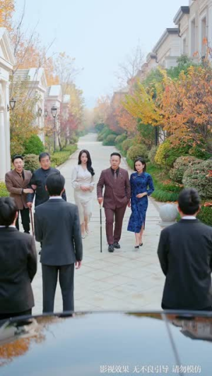 隐于尘埃，惊世归来（80集）短剧最终回限免畅看