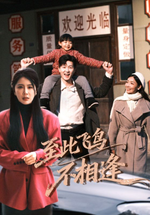 至此飞鸟不相逢（70集）短剧全集VR沉浸版