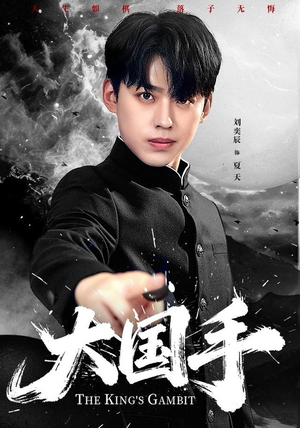 大国手（76集）短剧完结篇全集连播