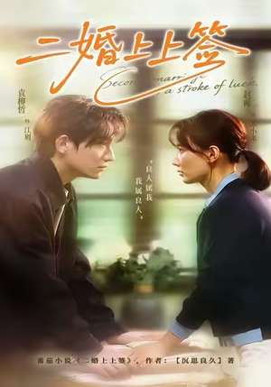 二婚上上签（71集）短剧合集杜比音效版