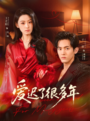 爱迟了很多年（73集）短剧全系列免费畅享