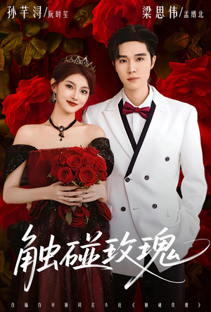 触碰玫瑰（80集）短剧超清全集在线看